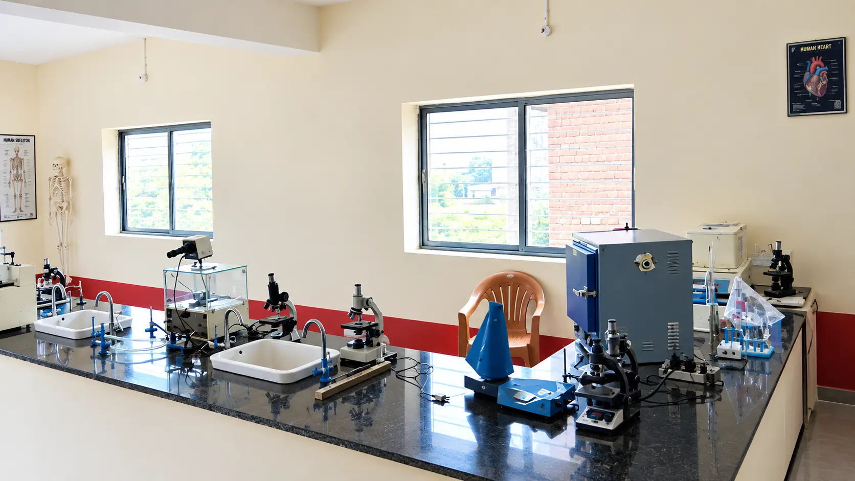 Human Anatomy And Physiology Lab
